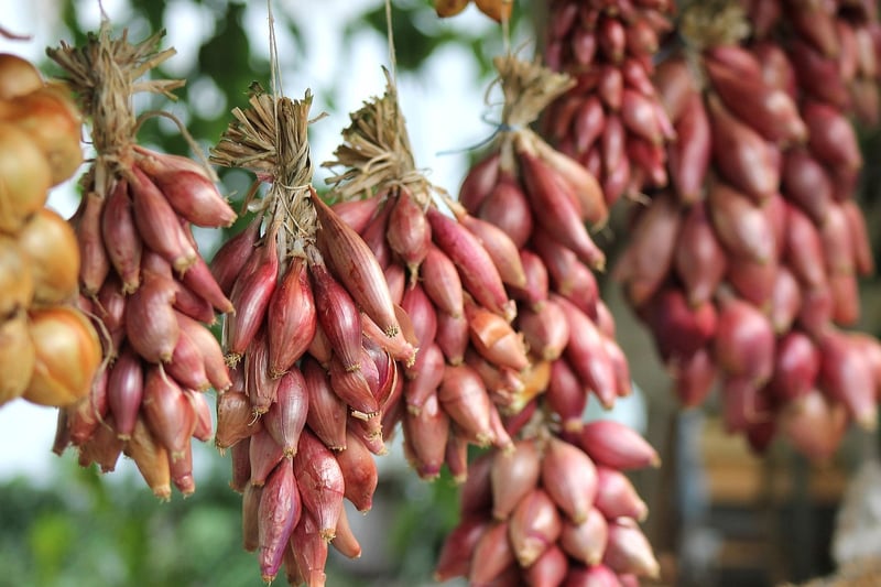 Collaborative Farming