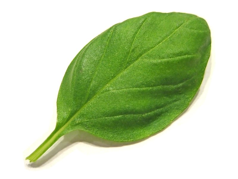 Italian Herbs